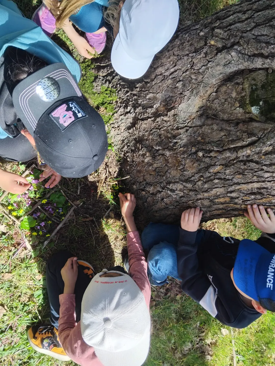 Élèves de l'école La Fourmi observant des fleurs au bois des Essarts lors d'une journée école dehors